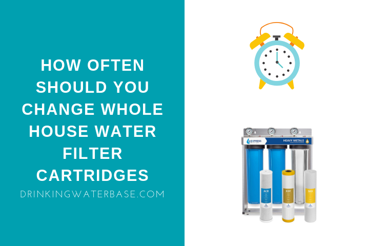 How Often Should You Change Whole House Water Filter Cartridges